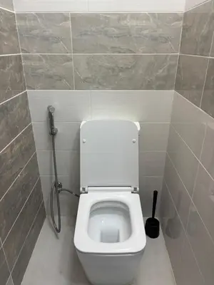 a bathroom with a toilet with a water hose at Ash Shawbak Apartment in Umm Şawwānah