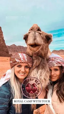 a group of girls standing in front of a bear mascot at RUM lUXURY MM SANDS CAMP in Wadi Rum