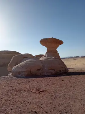 a rock formation in the middle of the desert at DESERT PULSE lUXURY CAMP in Wadi Rum