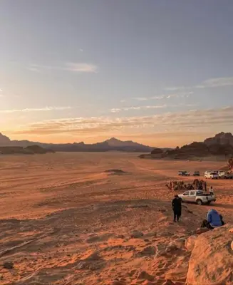 a cow standing in the desert with a truck at Wadi rum camp in Wadi Rum