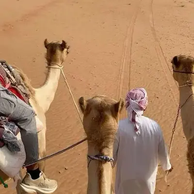 الشاكرية