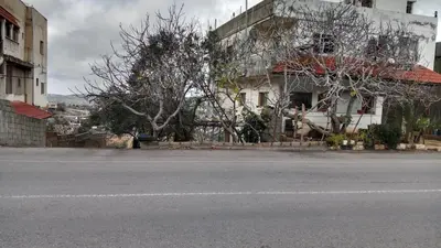 an empty street in front of a white building at عجلون اشتفينا in Ajloun