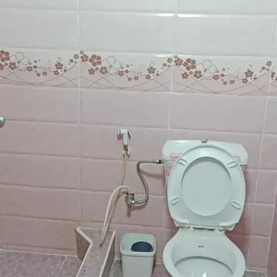 عجلون اشتفينا