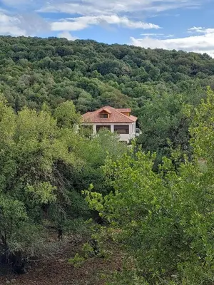 a house on top of a hill with trees at Bait Ajloun بيت عجلون 2 in Khirbat Shīn