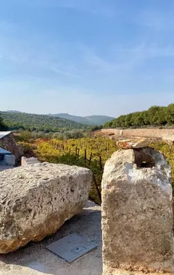 a large rock sitting on top of a field at Bait Ajloun بيت عجلون 2 in Khirbat Shīn