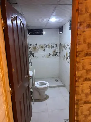 a bathroom with a toilet in a room at Infinity Dunes Camp in Disah