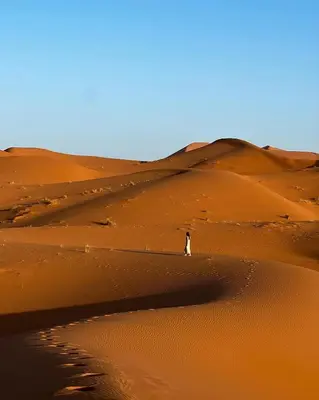 a person standing on a sand dune in the desert at Isabella Desert Camp & Tour in Wadi Rum
