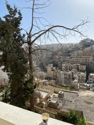 a view of the city from the roof of a building at Stylish 2BR Apartment, Walkable Jabal Al-Weibdeh in Amman