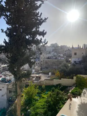 a view of a city with a tree at Stylish 2BR Apartment, Walkable Jabal Al-Weibdeh in Amman