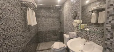 a bathroom with a shower and a toilet and a sink at La Maison Hotel in Wadi Musa
