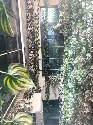 a building with plants growing on the side of it at Torino Hotel Amman in Amman