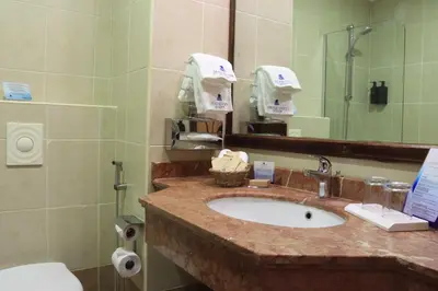 a bathroom with a sink and a mirror and a toilet at Dead Sea Spa Hotel in Sowayma