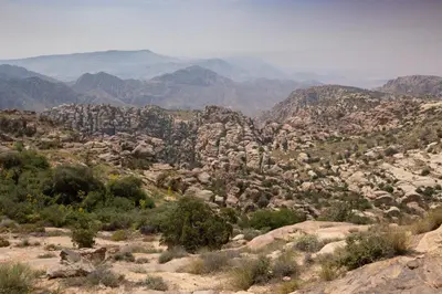 a view of a valley in the mountains at Rummana Campsite in Dana