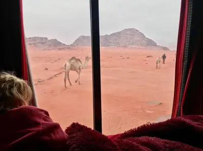 a child sitting on a bus looking out the window at the desert at Wadi Rum Starlight Camp in Wadi Rum