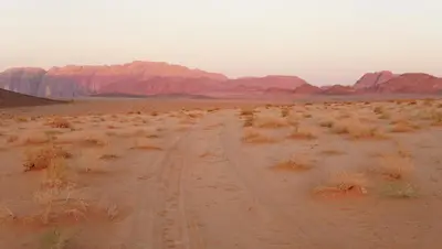 a dirt road in the middle of the desert at Rumshines Camp in Wadi Rum