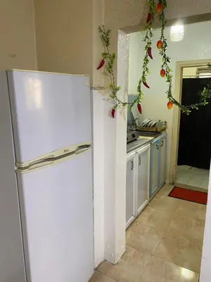 a white refrigerator in a kitchen with flowers on the wall at Sami Apartments in Amman