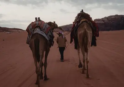 a man walking two horses down the desert at Rum Planet Camp in Wadi Rum