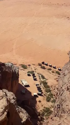 a group of camels parked in the desert at Wadi Rum Nature Tours And Camp in Wadi Rum
