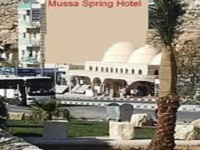 a palm tree in front of a building with a sign at Mussa Spring Hotel in Wadi Musa