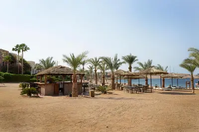 a beach with tables and straw umbrellas and palm trees at Marina Plaza Hotel, Tala Bay in Aqaba