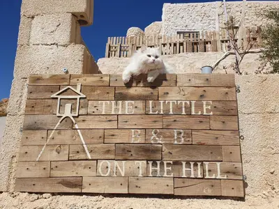 a white cat sitting on top of a wooden sign at The Little B&B on the Hill in Wadi Musa