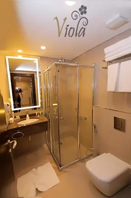 a bathroom with a shower with a toilet and a sink at Viola Hotel Suites in Amman