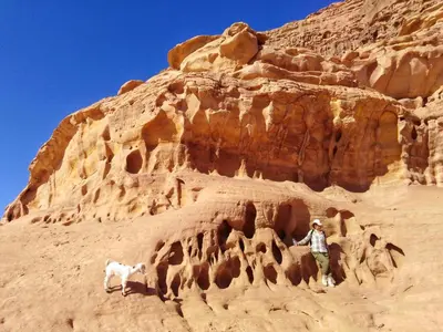 a man and a dog standing in front of a mountain at MalakoRum in El Quweira