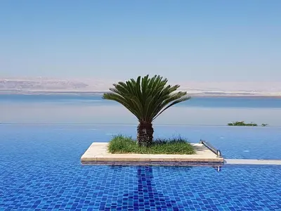a palm tree on a island in the middle of a pool at Apartment Samarah Resort Sea & Pool view D in Sowayma