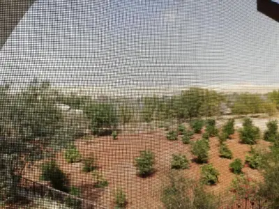 a screened in window with a view of a garden at Russian Pilgrim Residence in Sowayma