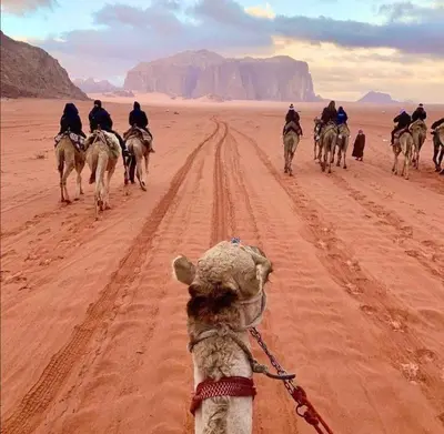 a group of people riding horses in the desert at Bedouin Village Hostel in Wadi Rum