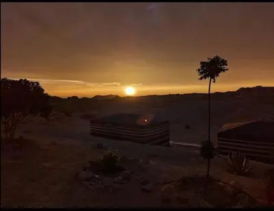 a sunset in the desert with a palm tree at Petra Wassaif Camp in Wadi Musa