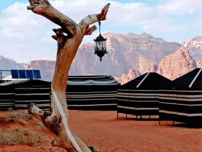 a tree with a lantern hanging from it in the desert at Desert Tree camp&tours in Wadi Rum
