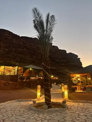 a palm tree with lights on it in front of a building at Desert Magic Camp & Resort in Wadi Rum
