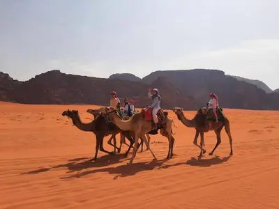 a group of people riding on camels in the desert at Wadi rum Local guide camp in Wadi Rum