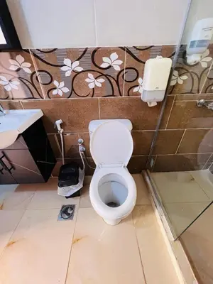 a bathroom with a toilet and a sink at wadi rum bedouin stars camp in Wadi Rum
