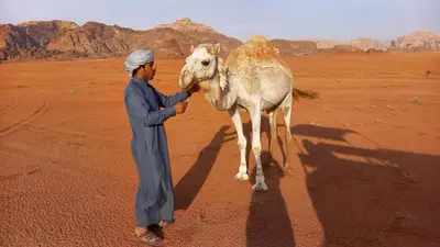 a man is petting a camel in the desert at Wadi rum Bedouin Experience in Wadi Rum