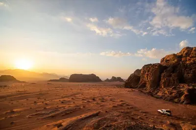 a cow laying in the desert at sunset at Wadi Rum Bedouin Heart in Wadi Rum