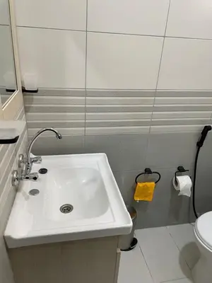 a bathroom with a sink and a toilet at Oskar Appartment 2 in Wadi Musa