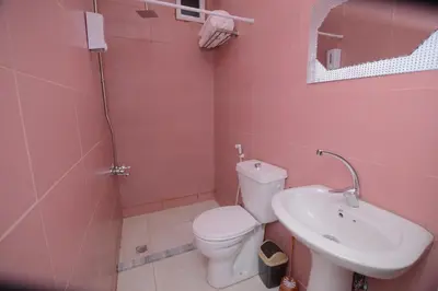 a pink bathroom with a toilet and a sink at Petra Lion Hotel in Wadi Musa