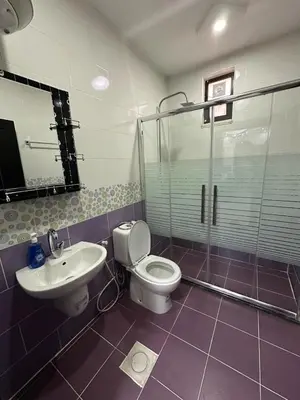 a bathroom with a toilet and a sink and a shower at Amro Petra Apartment in Wadi Musa