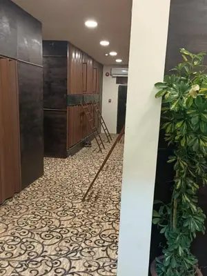 a room with a tile floor and a plant at PETRA Cabin Dorms Hostel in Wadi Musa