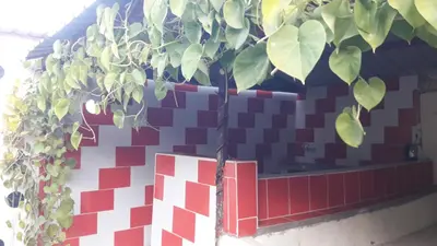 a plant is growing on a brick wall at WadiRum Village Lodge in Wadi Rum