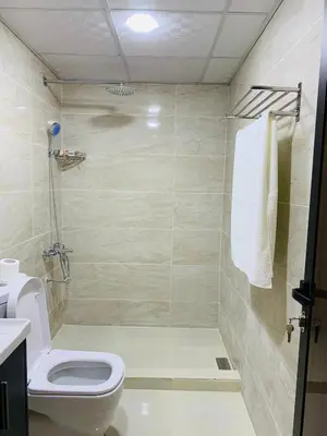 a bathroom with a toilet and a shower at sand magic camp in Wadi Rum