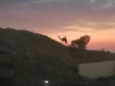 a person riding a camel on a hill at sunset at Infinity Lodge in Wadi Musa