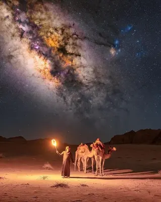 a man with three camels in the desert at night at Wadi Rum Quiet Sky in Wadi Rum