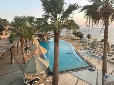 a swimming pool with palm trees and chairs and the ocean at O Beach Hotel & Resort in Sowayma