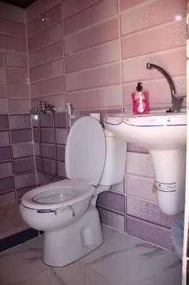 a bathroom with a toilet and a sink at Luxury Color Camp in Wadi Rum