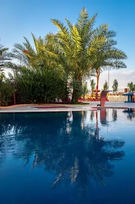 a swimming pool with palm trees and blue water at The Precious Villa in Sowayma