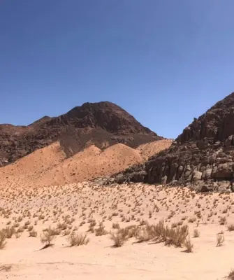 a desert field with a mountain in the background at Wadi rum Moon Iight Camp in Wadi Rum