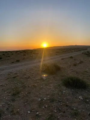 a sunset in the desert with a dirt road at Rum Rayan magic camp in Wadi Rum